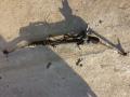 Рейка рулевая 9638132380 PEUGEOT 206