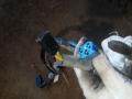 Замок зажигания 4162CH  CITROEN BERLINGO 02-08